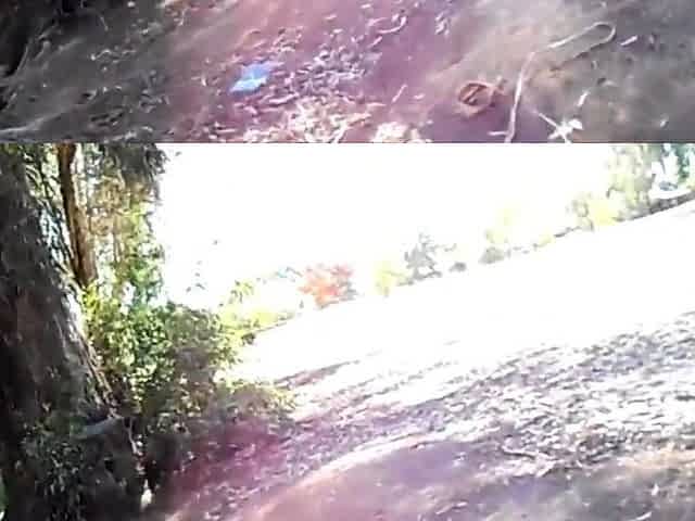 Amateur Asian Girl Gives Public Blowjob in Park