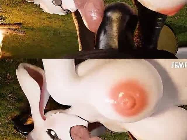 Anthro Sex Compilation 1 Rule 34 Anime