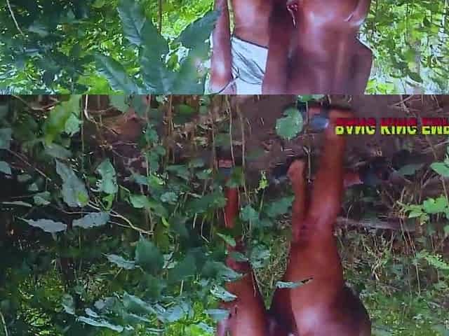 Aged Large Rod King Cure Addiction In The Bush With Black Mirabel