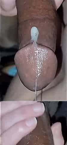 Multiple Video Anal Compilation