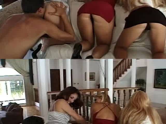 This Foursome Is Evey Guys Wet Dream