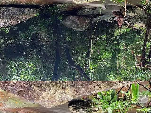 Jade & Seins - Wild Jungle Sex