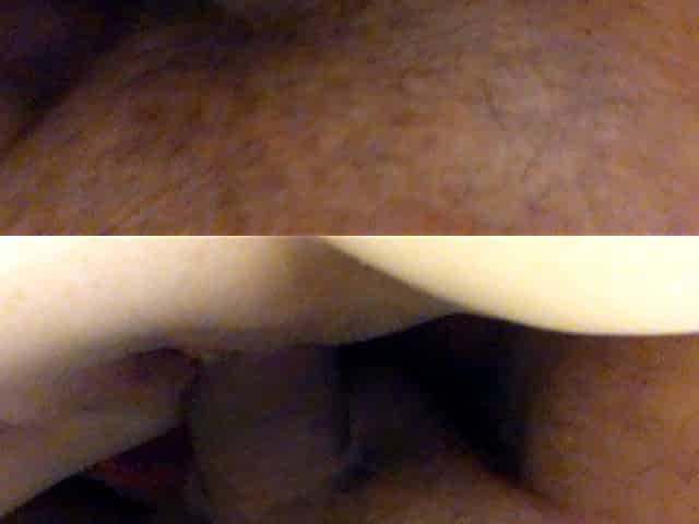 Cock in Pussy