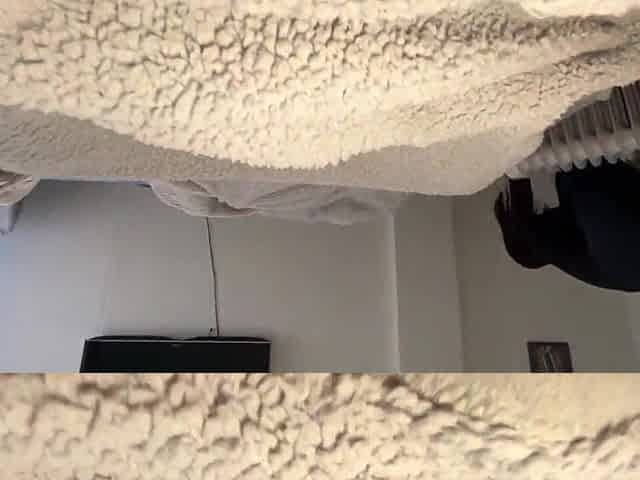 maid came to clean my room but ended up sitting on my knob with her large white butt