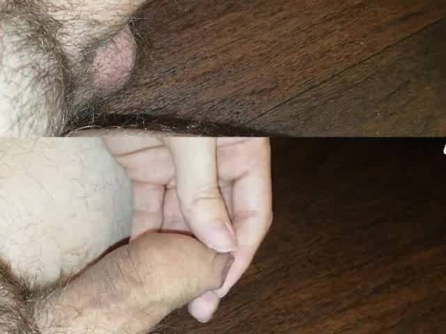 Large Knob Erection (Limp Dick Doubles in Size)