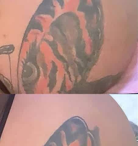 Streaming big cock close ups