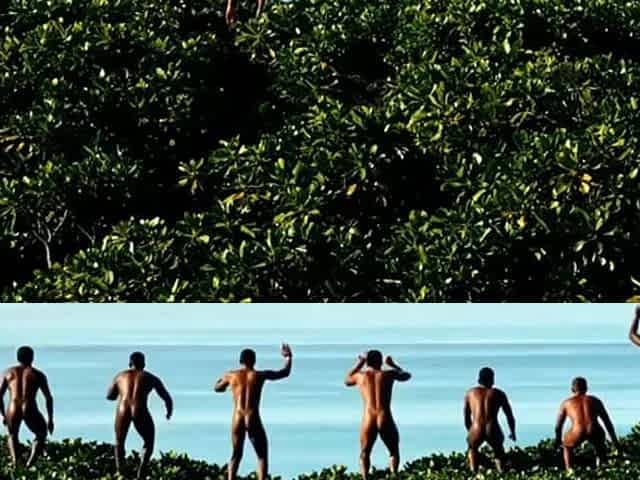 LOST IN THE JUNGLE - INTERRACIAL