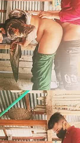 Desi Couple