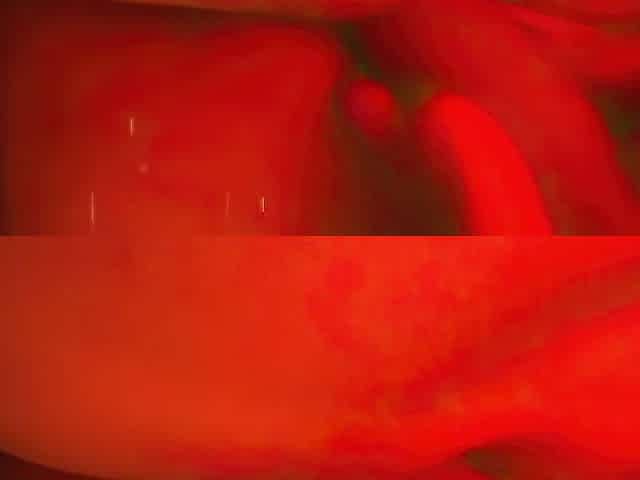 Love cumming on my toys