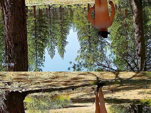 Simscristian05 - update #623 - NUDE IN THE PINES - SHEER - Jun 01, 2026