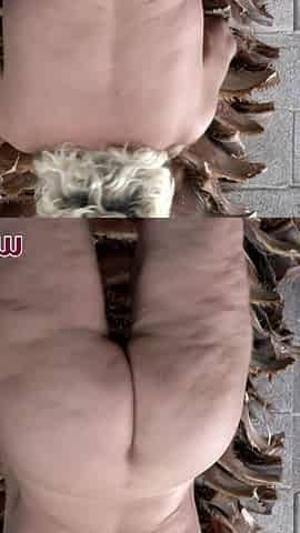 Huge tit Claudia Marie is thick as fuck