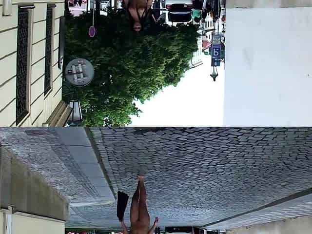 Brunette Amateur Sucking Dick Outdoors In Public