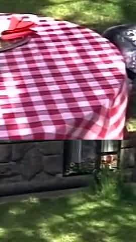 Picnic Date Explodes Into Outdoor Pounding and Sloppy 69