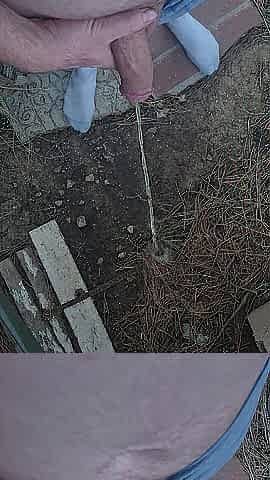 gratifying 40 second morning outdoor piddle