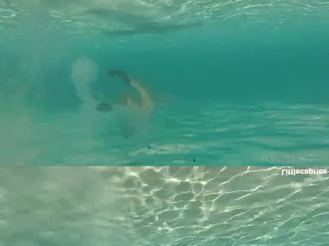 PORNLIFESTYLE Holiday Report from the Maldives - Little Caprice Dreams