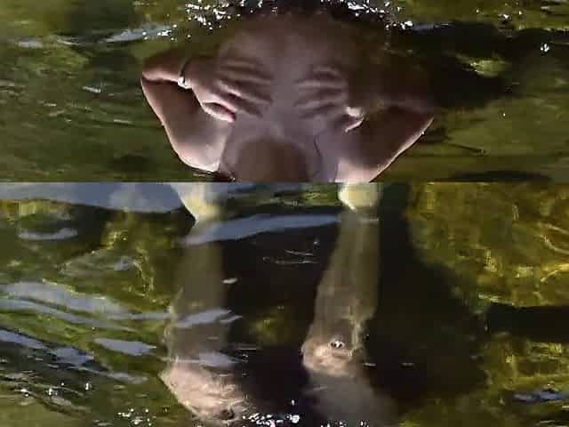 nymphomaniac asks for sex by the river