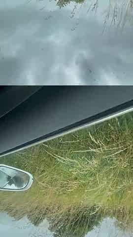 Superlatively good oral-job in the car in public, youthful stepmom