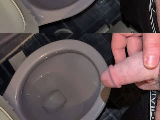 Chubby bear morning void urine