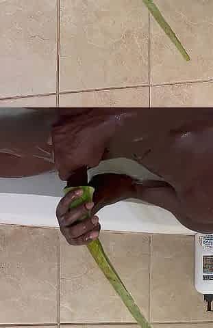 Viral aloe Vera