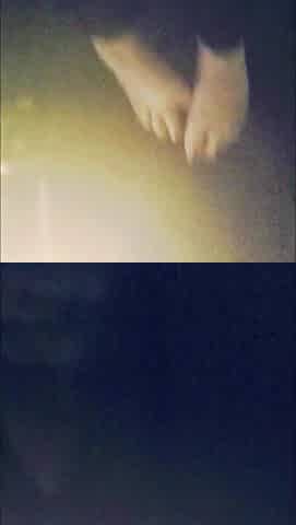 See my nice-looking feet beneath my desk.