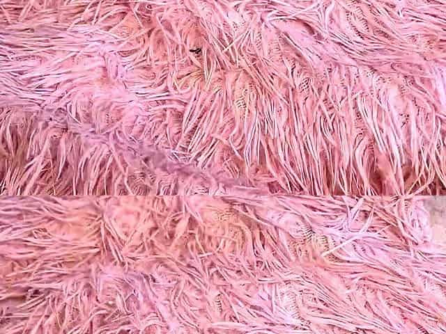 Big Hole Free Amateur Webcam Porn Video Masturbation Camsex