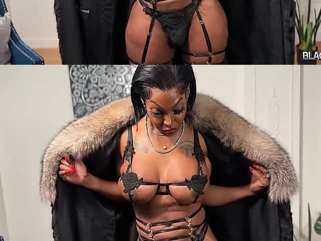 EBONY TRANSSEXUALS - Vixen Coxx Is Pure Temptation in Leather