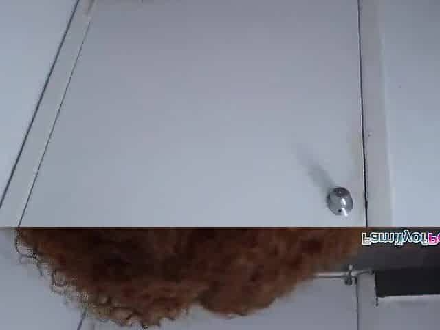 Teen stepsis sucks stepbro in restroom