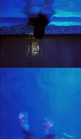 At the Pool