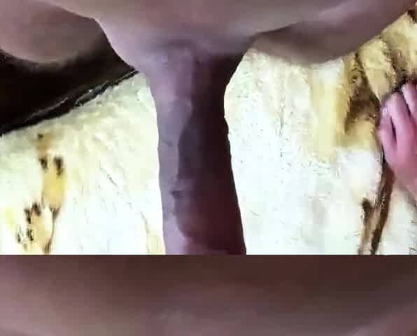 Hot Girl Loves Anal and Ass-to-Mouth Action
