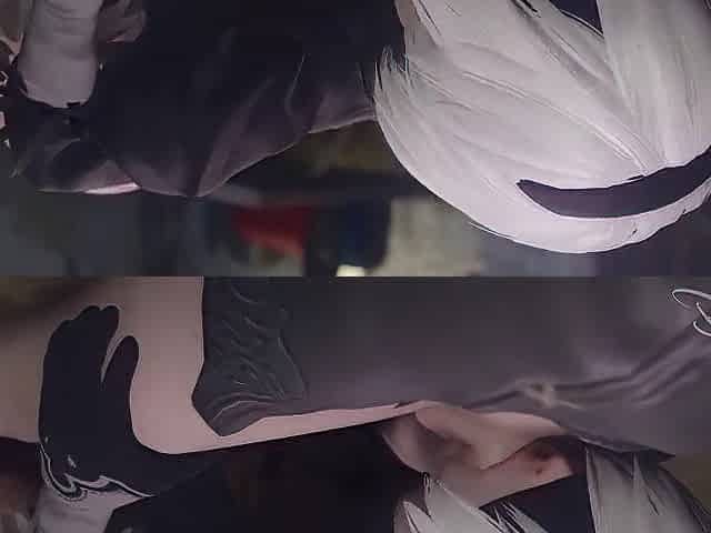 Nier Automata Compilation
