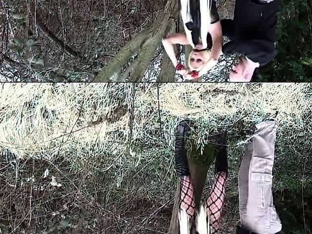 Big-Titted Blonde MILF Sucks and Fucks in the Woods