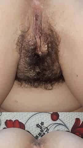Hairy Pussy