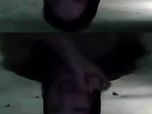 Amateur solo jock jerks his throbbing cock