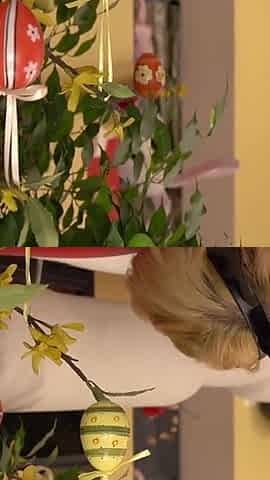 Sexy Teen Bunny Loves BBC in Her Ass and Mouth