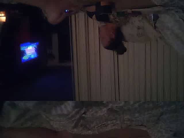 Vicious Latino Stud Caught Jerking Of To Cute Brunette hair Playing Movie scene Games