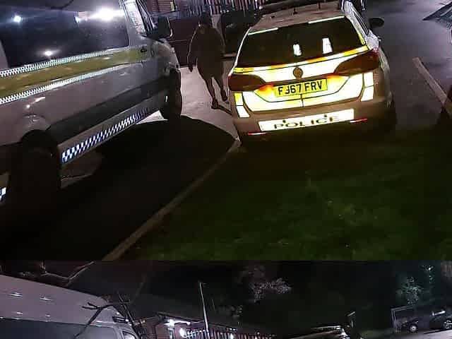 Cracky gets released from the police Station