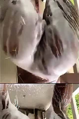 Hot Big Black Latina booty Black and Ebony