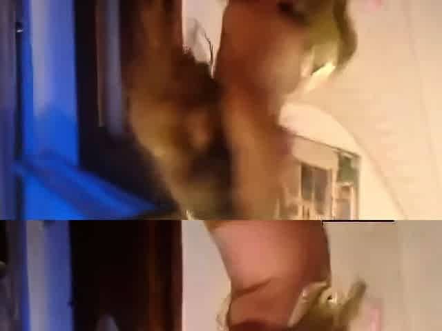 Arab Milf Dancer with Big Tits
