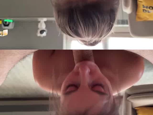 Juicy Blowjob And Big Tit Fucking