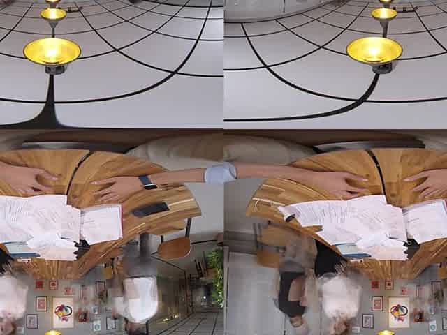 Virtual Real Porn IRL: US Edition