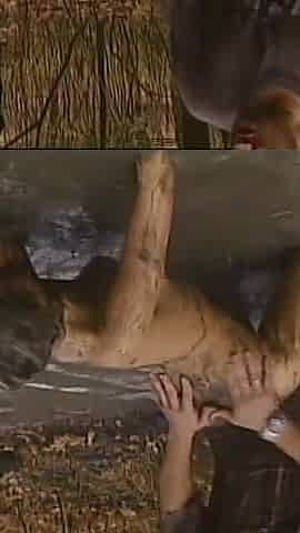 A Horny Slut MILF Have Sex to Big Cock in the Muddy Place