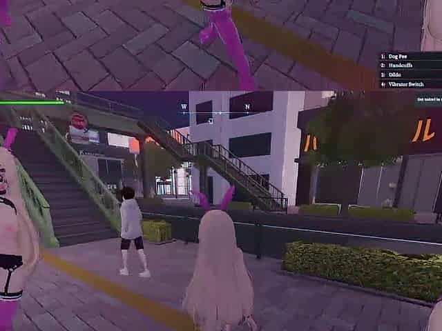 Secret Flasher Manaka - Random missions day and night