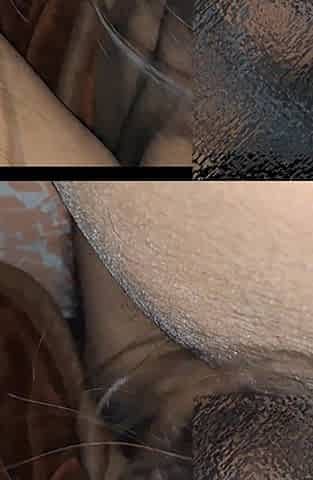 Valentine Special with Wife Hardcore Romance- 4K Video