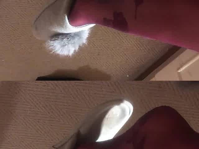dangling shoeplay in stockings