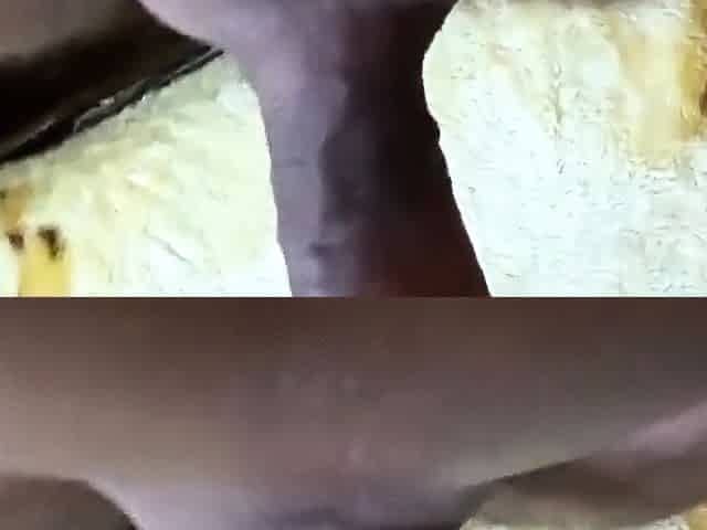 Russian Babe's Homemade Anal Adventure