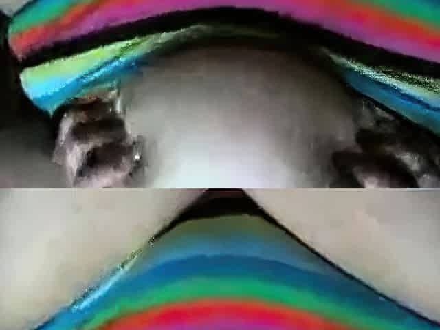 Black BBW Amateur on Webcam