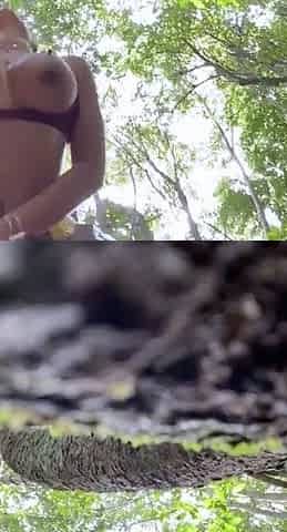 Outdoor Amateur Sex Outdoor Sex Porn Video 53 ne