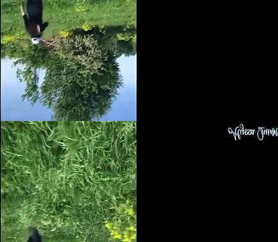 Alyssa Quinn In Cum Deep In My Throat Pov Blowjob In Nature
