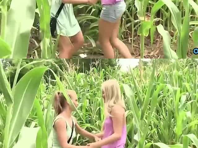 Cocottes Teen 18+ Action