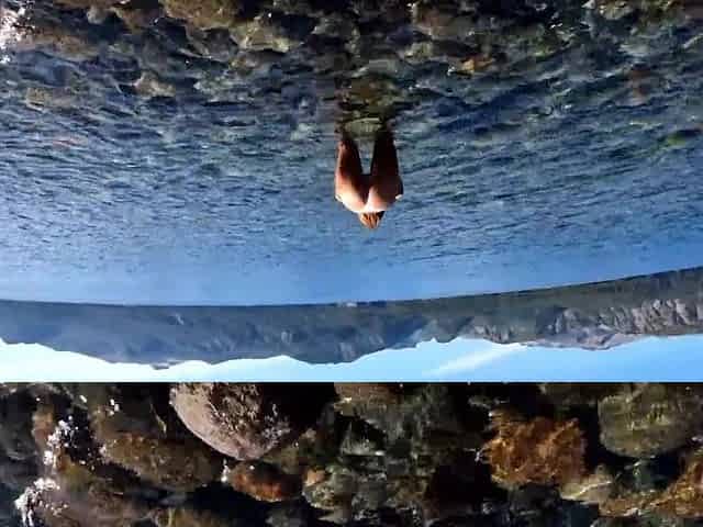 Latina begs cock to fuck her by the lake - Amateur POV